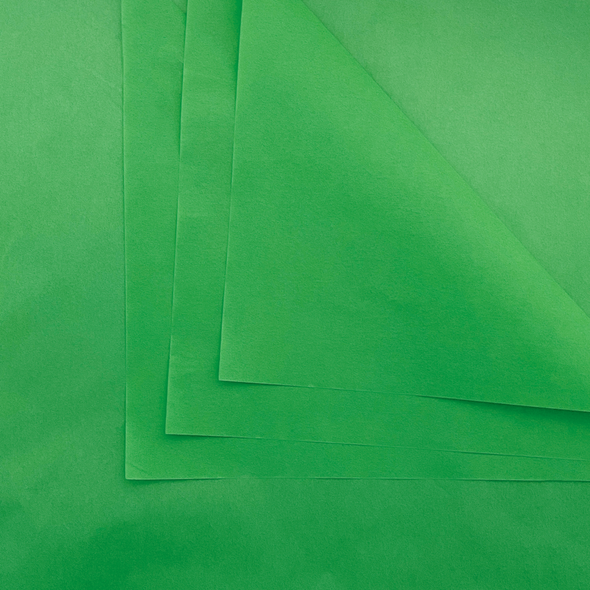 DBLG Tissue Paper 30" x 20" Green 24 sheets/pkg