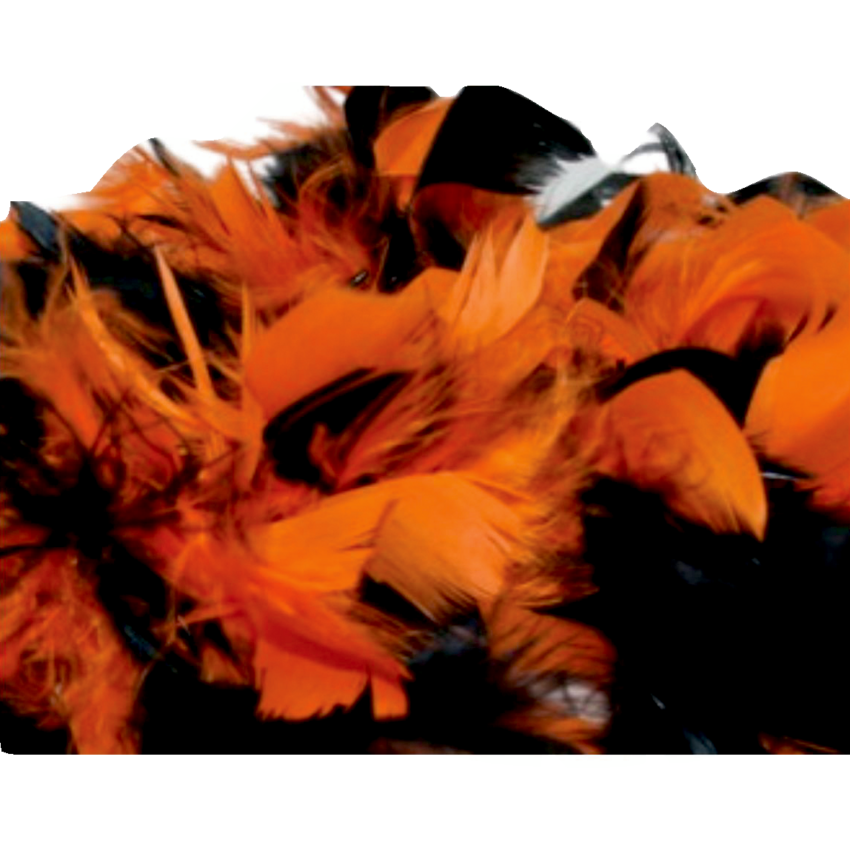ArtWorks Feathers Halloween Assortment Assorted Colours 8 g