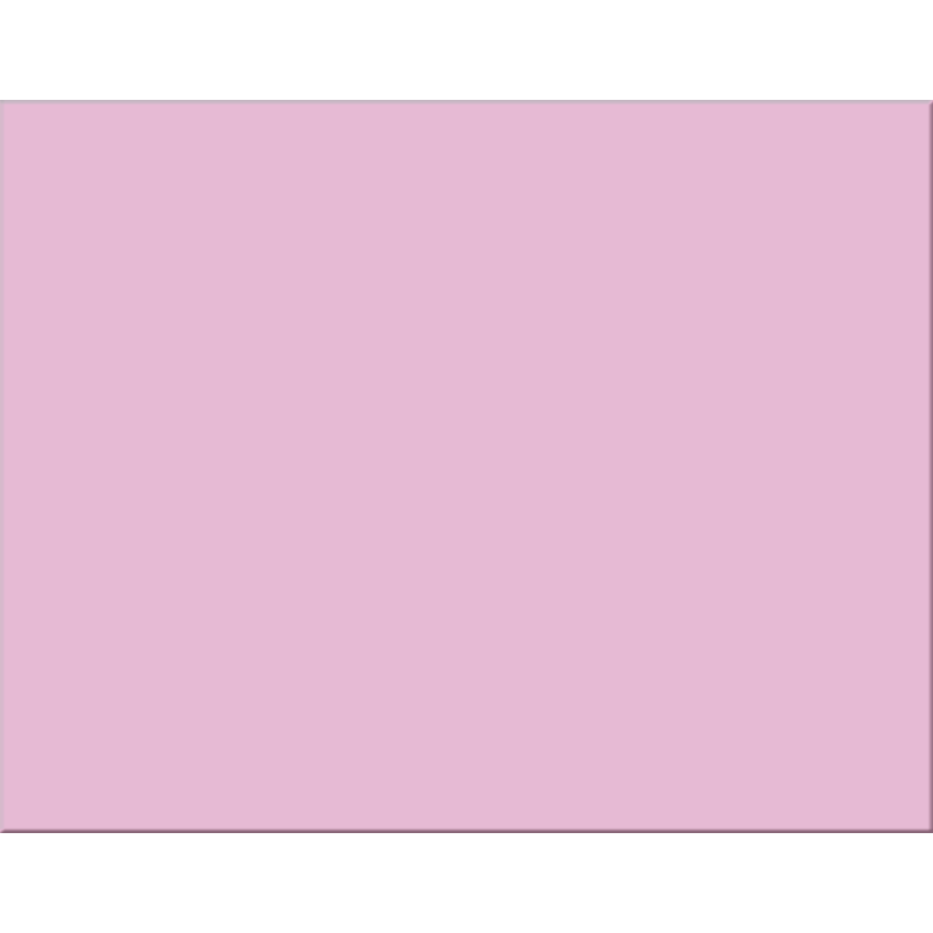 Pacon® 4-Ply Railroad Board Pink