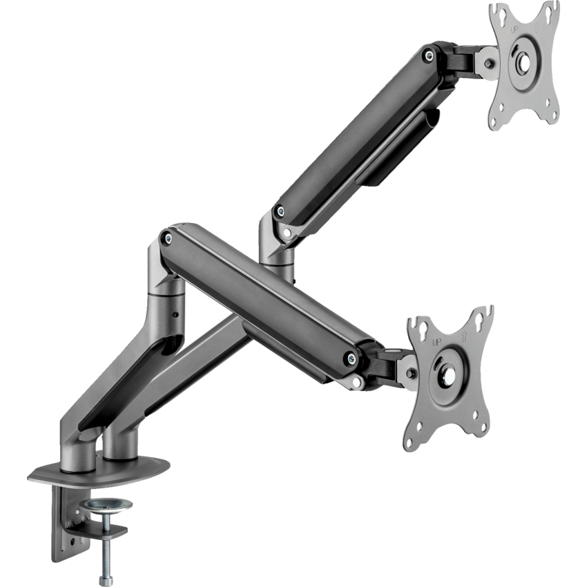 Horizon Monitor Arm Dual Silver
