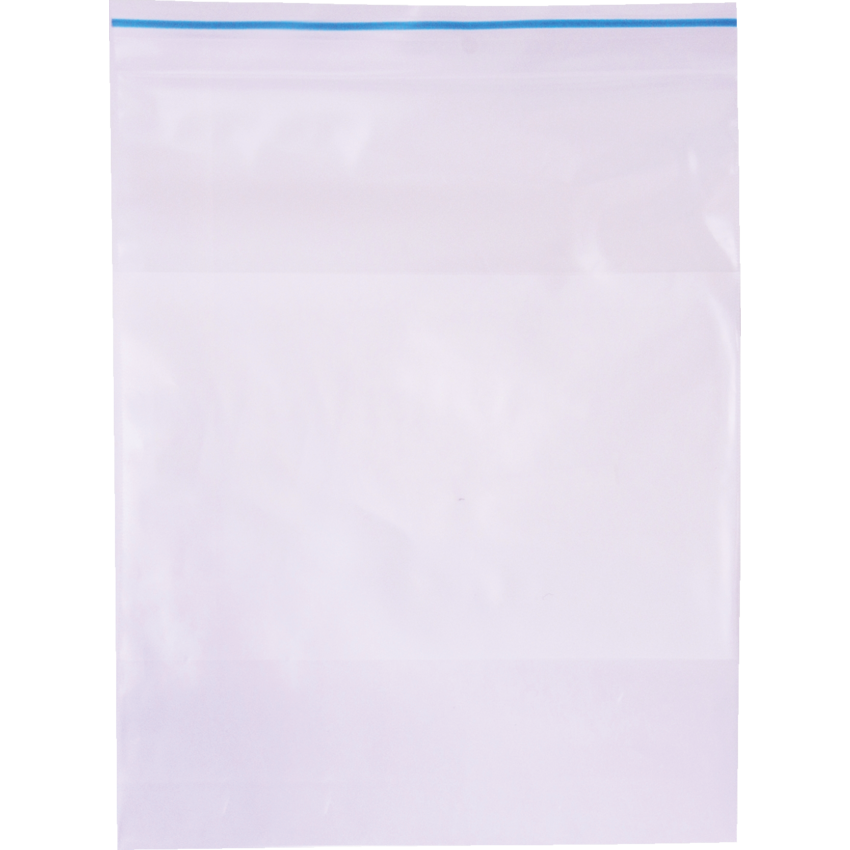 Vera Reclosable Bags 2 mil 9" x 12" White Block 500/box