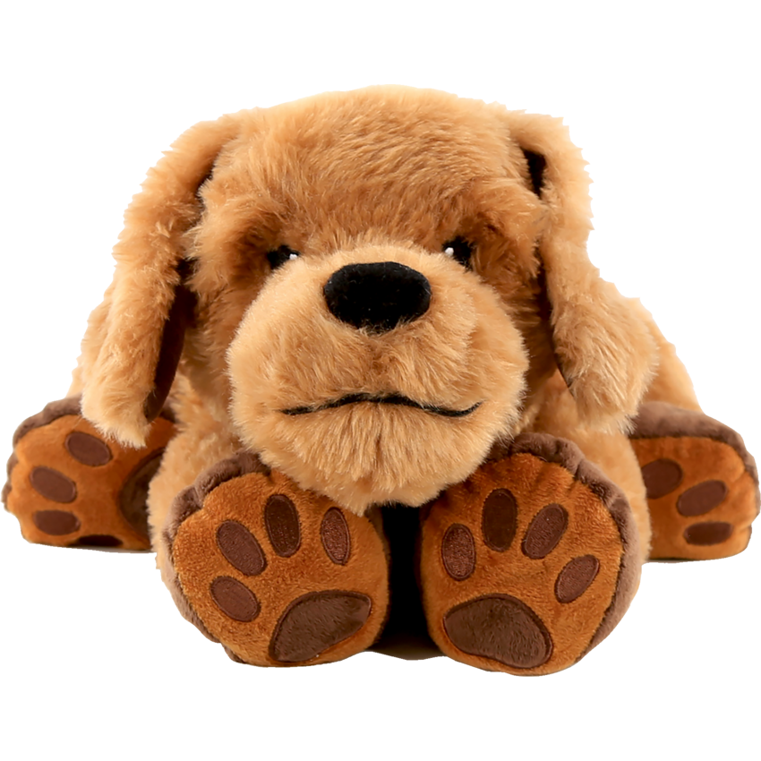 Roylco Theo the Therapy Dog