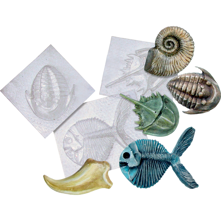 Roylco Fossil Molds 5/pkg