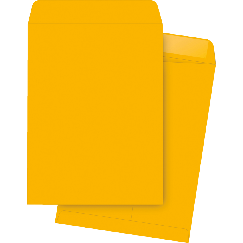 Business Source Catalogue Envelopes 9" x 12" 24 lb Golden Kraft 250/box
