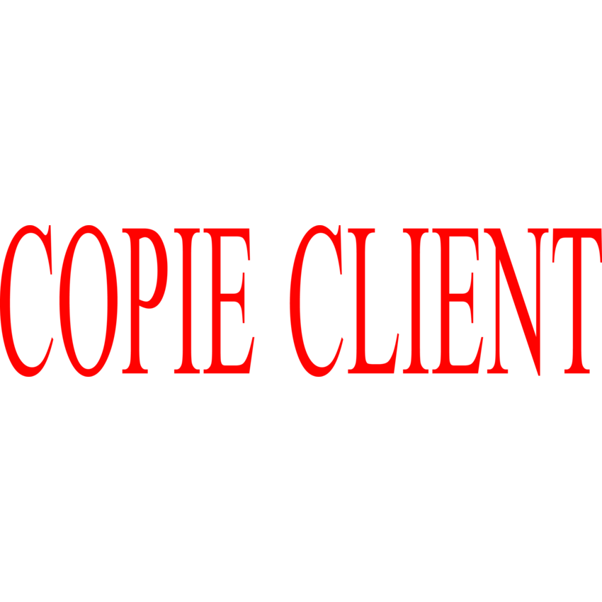 Trodat® Printy 4911 Self-Inking Message Stamp with Window COPIE CLIENT