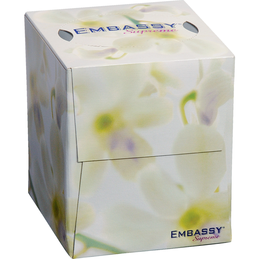 Embassy® Supreme Facial Tissue 100 sheets/box